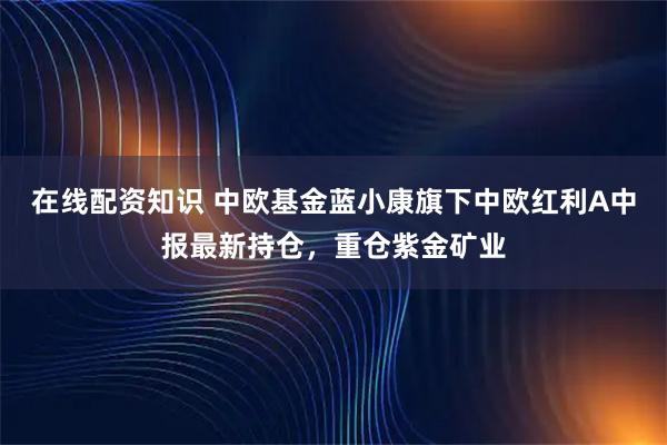 在线配资知识 中欧基金蓝小康旗下中欧红利A中报最新持仓，重仓紫金矿业