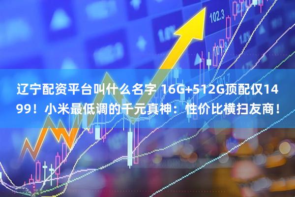 辽宁配资平台叫什么名字 16G+512G顶配仅1499!小米最低调的千元真神:性价比横扫友商!
